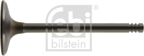 Intake Valve 12856