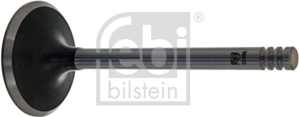 Intake Valve 36502