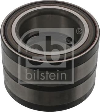 Wheel Bearing 45690