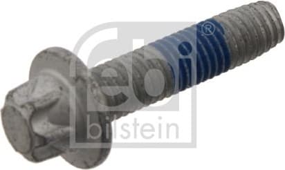 Screw 31043