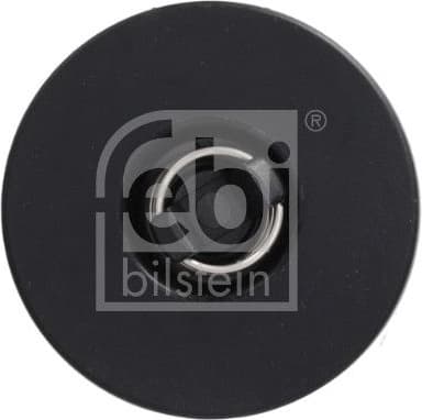 Hydraulic Filter, automatic transmission 197831 - image 3