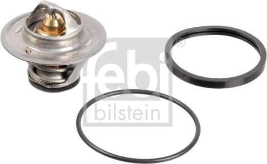 Thermostat, coolant 17350