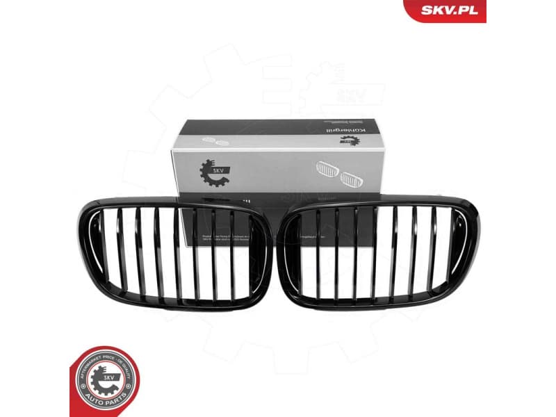 Radiator Grille 66SKV222