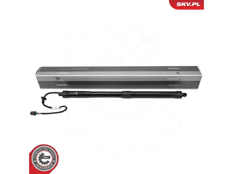 Electric Motor, tailgate 52SKV210