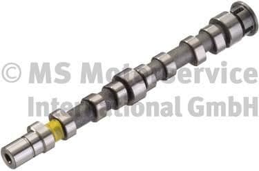 Camshaft 50007040