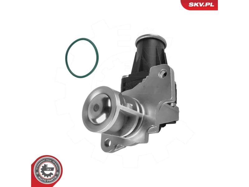 EGR Valve 14SKV318