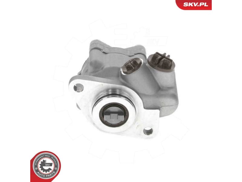 Hydraulic Pump, steering 10SKV318