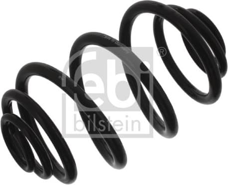 Suspension Spring 38671