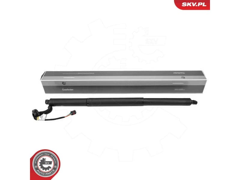 Electric Motor, tailgate 52SKV992