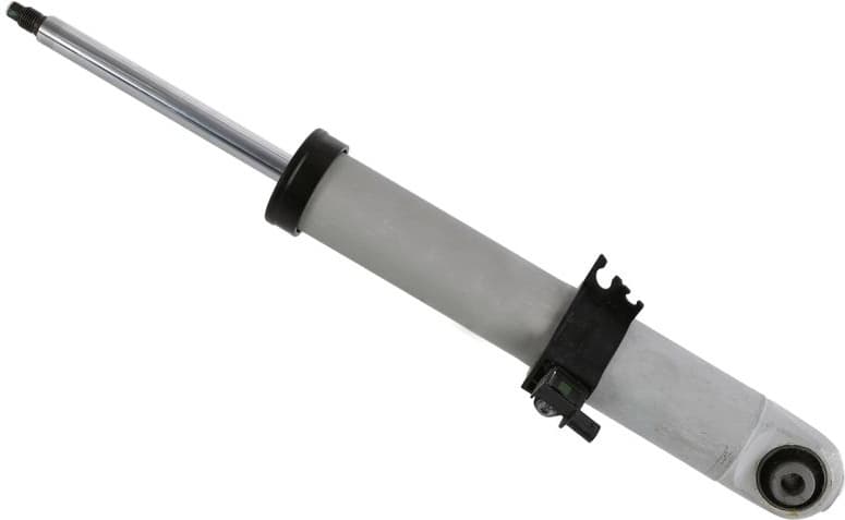 Shock Absorber CDC 319 241