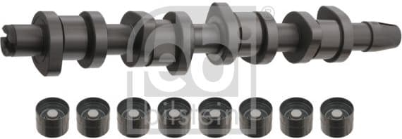 Camshaft Kit 33197