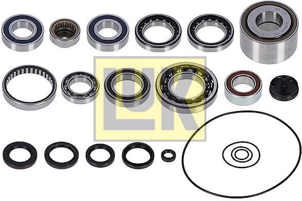 Repair Kit, manual transmission LuK GearBOX 462023010