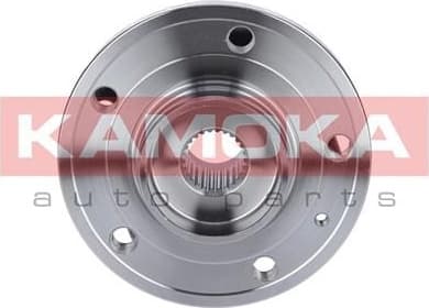 Wheel Bearing Kit 5500054