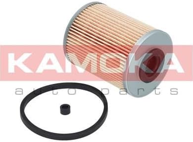 Fuel Filter F301101 - image 2