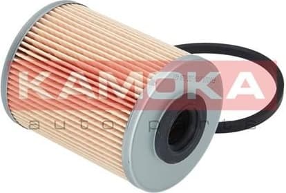 Fuel Filter F301101 - image 4