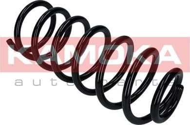 Coil spring 2120297