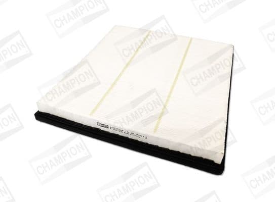 Air Filter CAF101263P