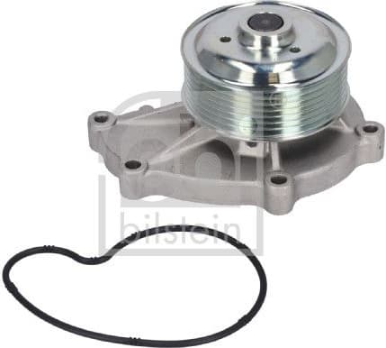 Water Pump, engine cooling 196491