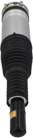 Air Suspension Strut 2070118