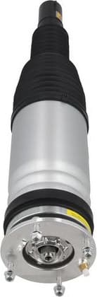 Air Suspension Strut 2070118 - image 3