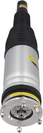 Air Suspension Strut 2070118 - image 4