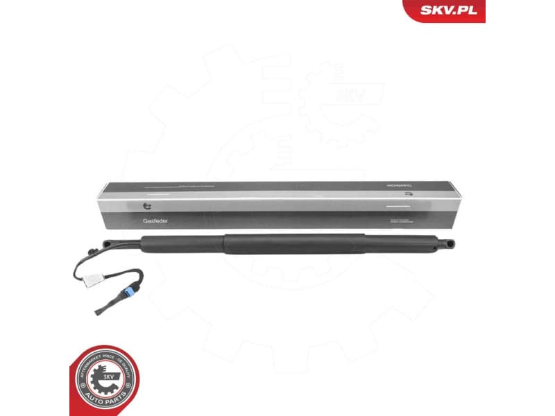 Electric Motor, tailgate 52SKV208