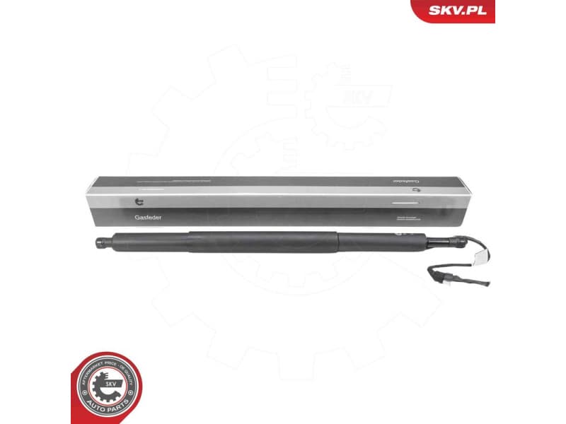 Electric Motor, tailgate 52SKV209