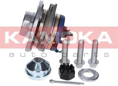 Bearing wheel 5500061