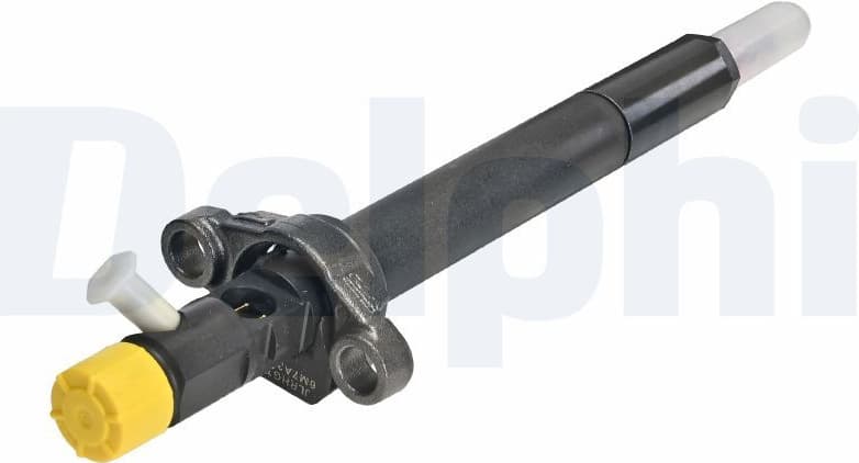 Injector R06001D-12B1