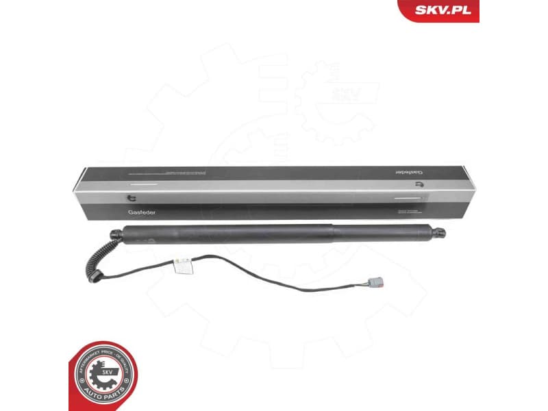 Electric Motor, tailgate 52SKV245