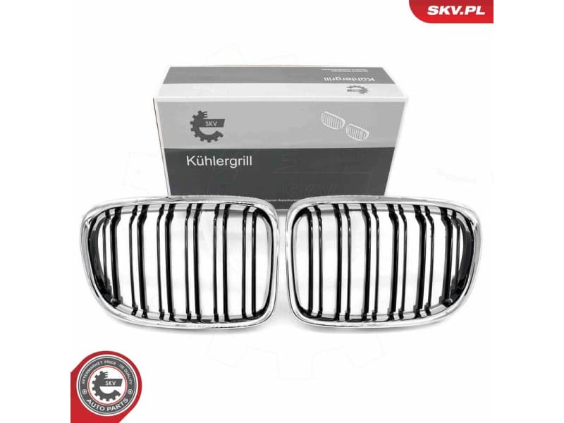 Radiator Grille 66SKV235