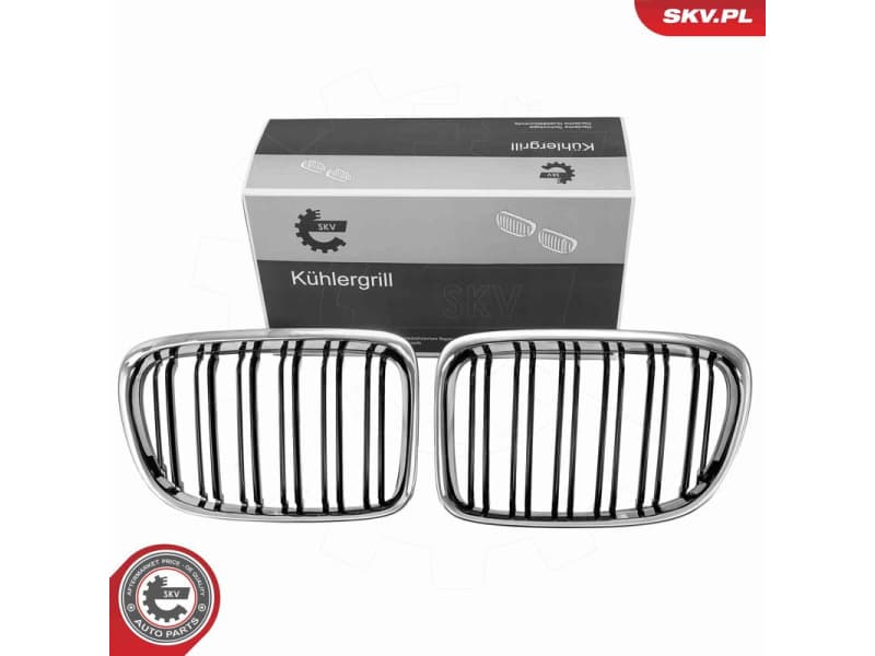 Radiator Grille 66SKV232