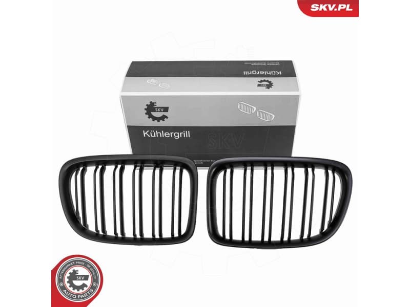 Radiator Grille 66SKV231