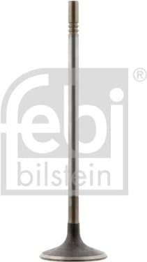 Intake Valve 28640