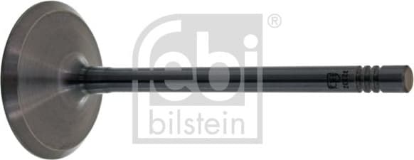 Intake Valve 32332