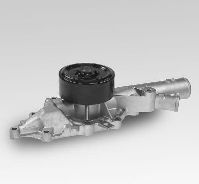 Water Pump, engine cooling P135