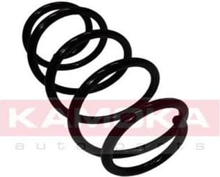 Coil spring 2110042