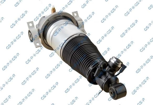 Air Suspension Strut 30900142