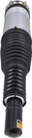 Air Suspension Strut 2070036 - image 2