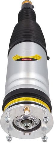 Air Suspension Strut 2070036 - image 3