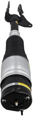 Air Suspension Strut 2070048 - image 4