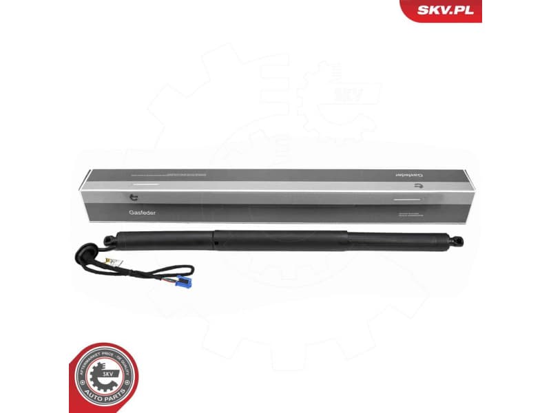 Electric Motor, tailgate 52SKV271