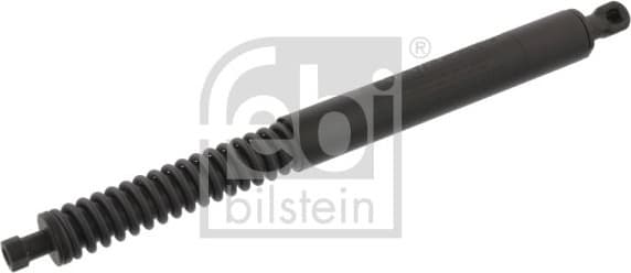 Gas Spring, boot/cargo area 34419