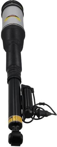Air Suspension Strut 2070094