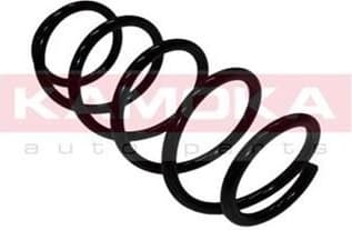 Coil spring 2110204