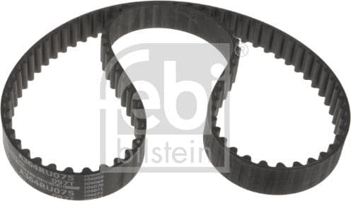 Timing Belt 176616