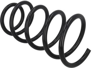 Suspension Spring 2110447