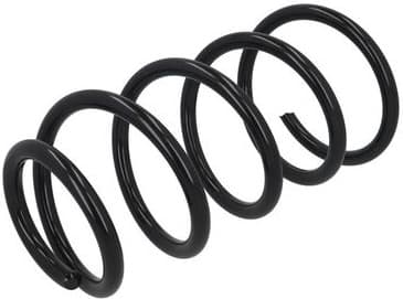 Suspension Spring 2110447 - image 4