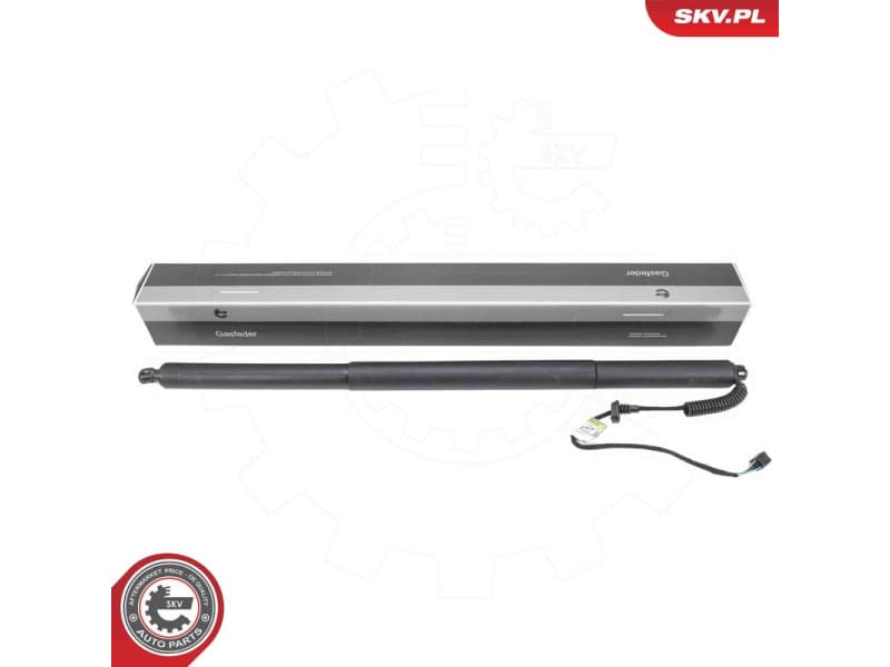 Electric Motor, tailgate 52SKV196