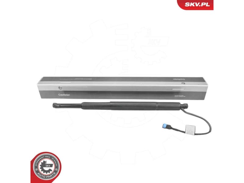 Electric Motor, tailgate 52SKV839